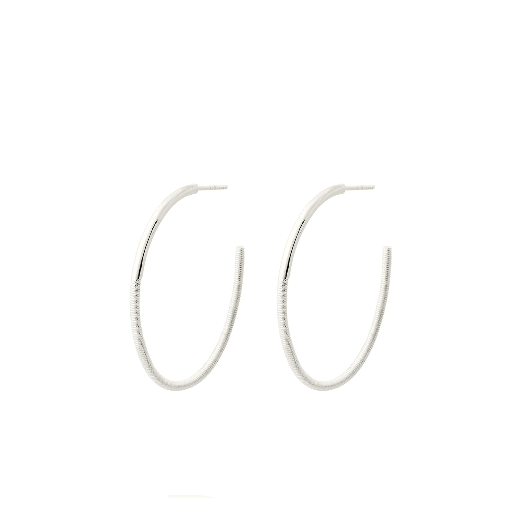 silver oval hoop earrings