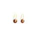 gold carnelian agate hook earrings